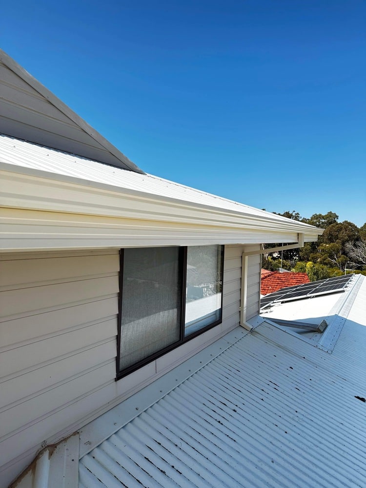 gutter and fascia replacement (1)