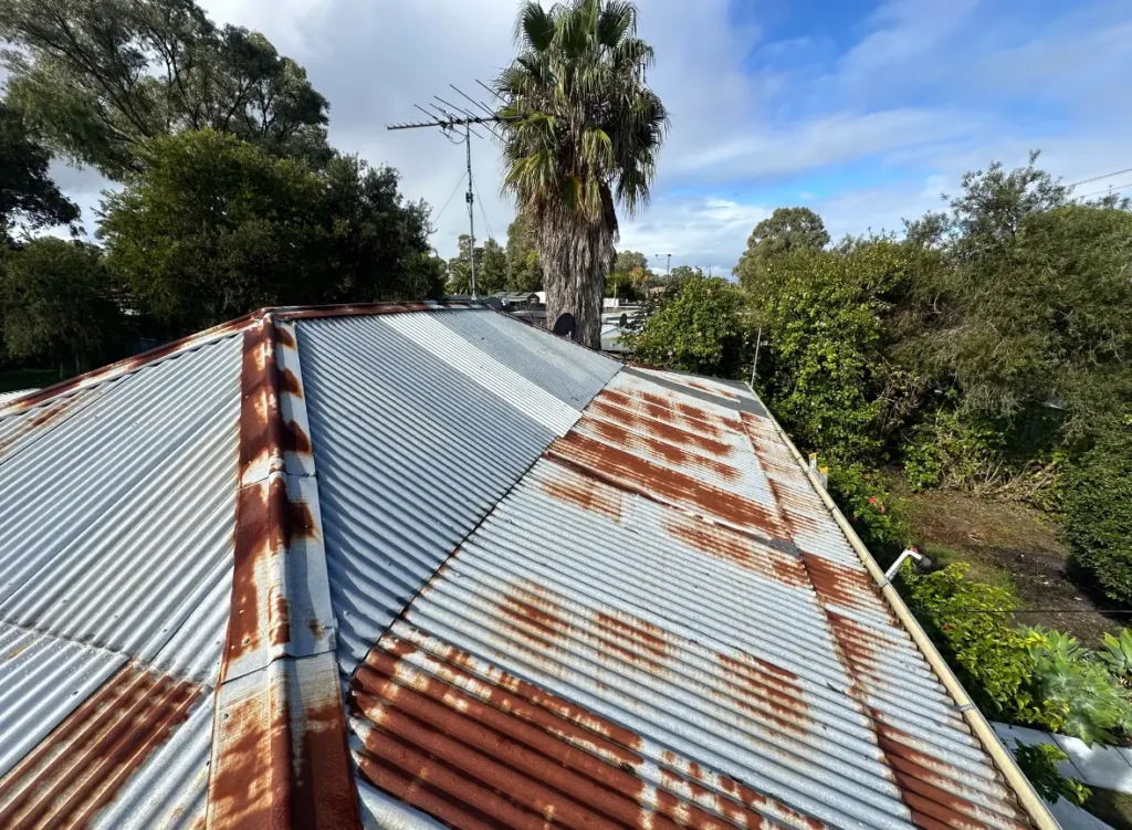 mandurah water detector