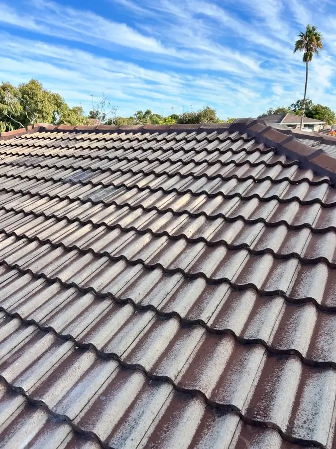 roof bedding and pointing mandurah