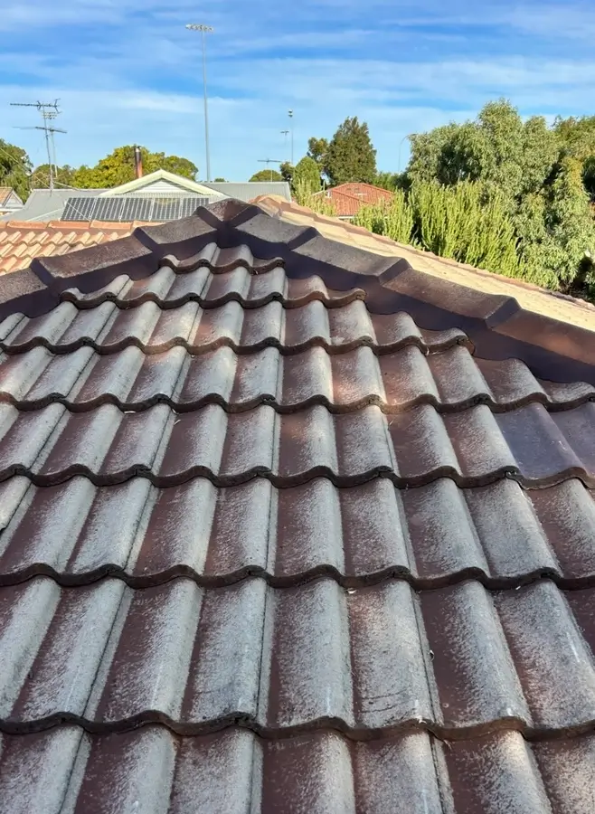 roof pointing mandurah
